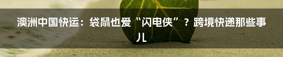 澳洲中国快运:袋鼠也爱“闪电侠”?跨境快递那些事儿