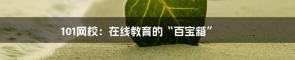 101网校:在线教育的“百宝箱”