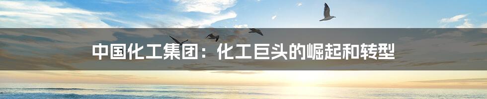中国化工集团：化工巨头的崛起和转型