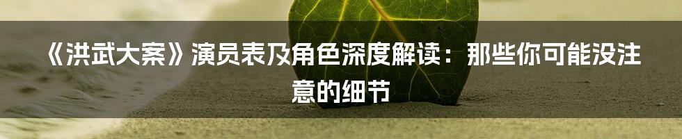 《洪武大案》演员表及角色深度解读:那些你可能没注意的细节