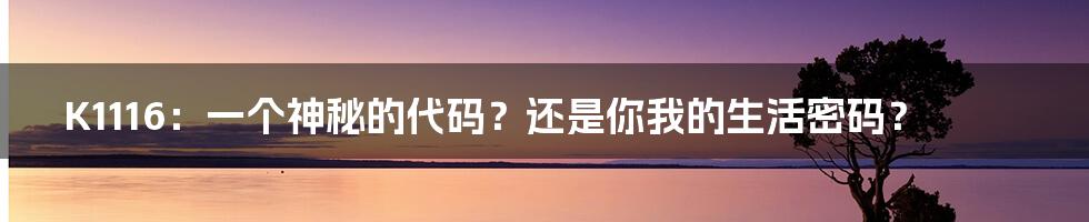 K1116:一个神秘的代码?还是你我的生活密码?