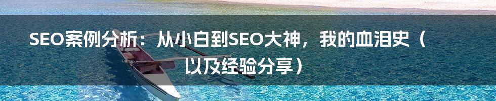 SEO案例分析:从小白到SEO大神,我的血泪史(以及经验分享)