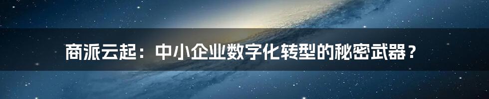商派云起:中小企业数字化转型的秘密武器?