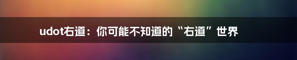 udot右道:你可能不知道的“右道”世界