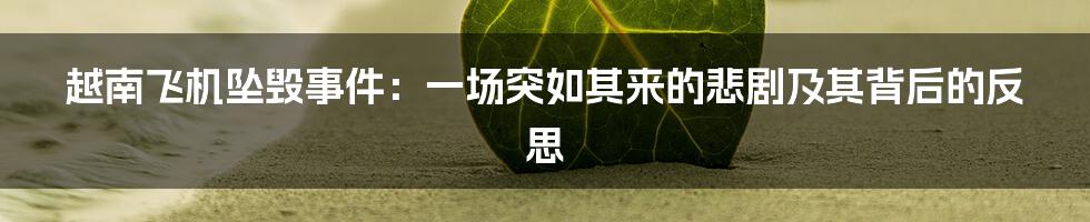 越南飞机坠毁事件:一场突如其来的悲剧及其背后的反思