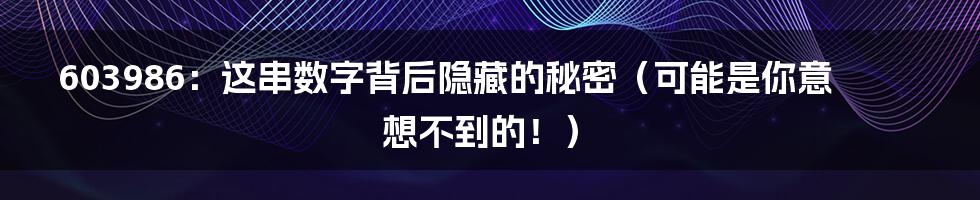 603986:这串数字背后隐藏的秘密(可能是你意想不到的!)