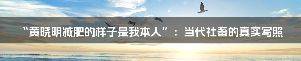 “黄晓明减肥的样子是我本人”:当代社畜的真实写照