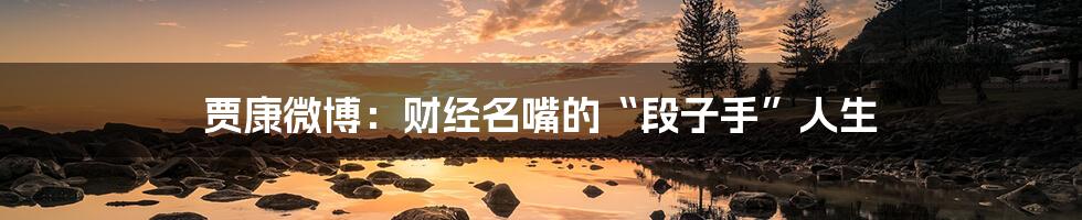 贾康微博：财经名嘴的“段子手”人生