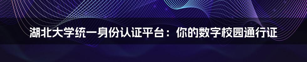 湖北大学统一身份认证平台:你的数字校园通行证