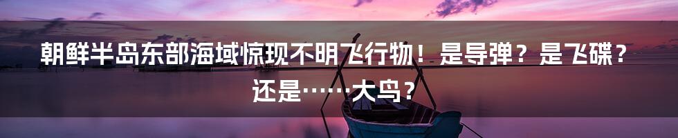 朝鲜半岛东部海域惊现不明飞行物!是导弹?是飞碟?还是……大鸟?