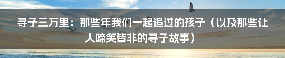 寻子三万里:那些年我们一起追过的孩子(以及那些让人啼笑皆非的寻子故事)