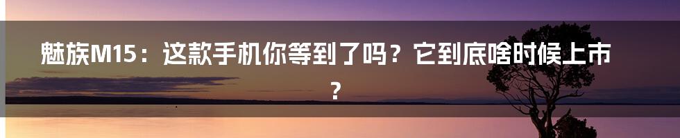 魅族M15:这款手机你等到了吗?它到底啥时候上市?