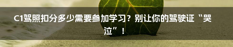 C1驾照扣分多少需要参加学习?别让你的驾驶证“哭泣”!