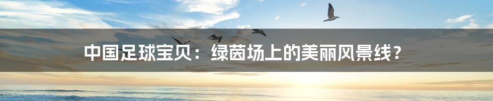 中国足球宝贝:绿茵场上的美丽风景线?