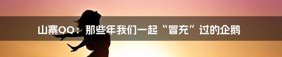 山寨QQ:那些年我们一起“冒充”过的企鹅