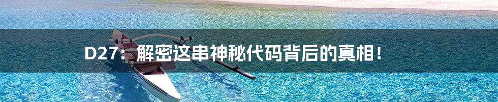 D27:解密这串神秘代码背后的真相!