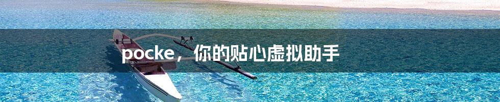 pocke,你的贴心虚拟助手