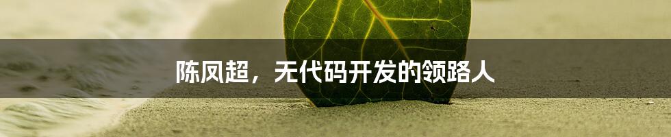 陈凤超,无代码开发的领路人