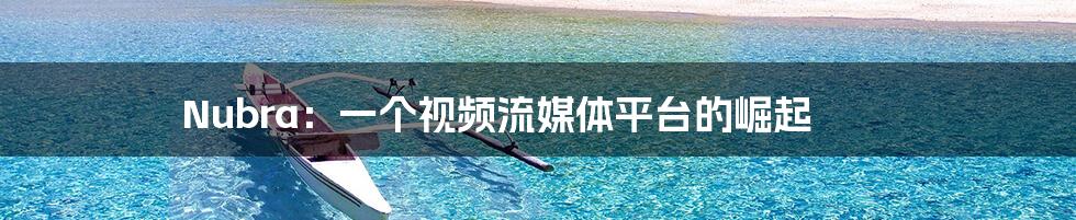 Nubra:一个视频流媒体平台的崛起