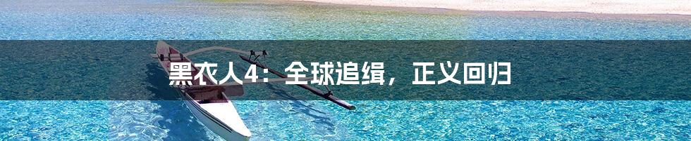 黑衣人4:全球追缉,正义回归