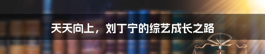 天天向上,刘丁宁的综艺成长之路