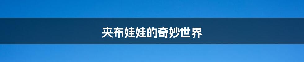 夹布娃娃的奇妙世界