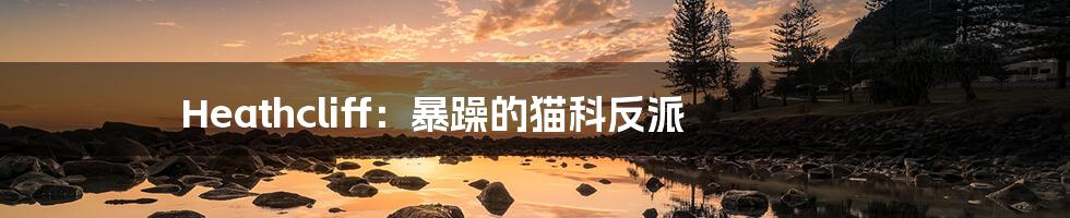 Heathcliff:暴躁的猫科反派