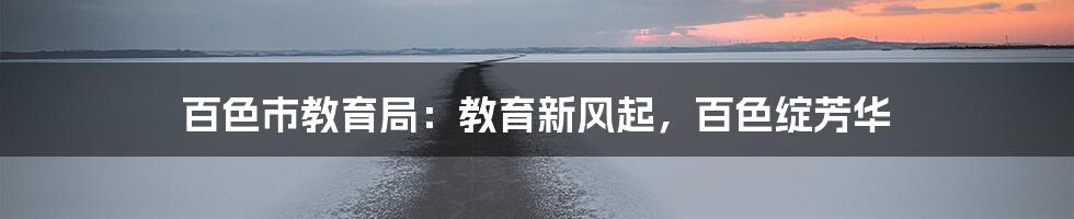 百色市教育局:教育新风起,百色绽芳华