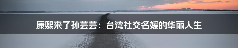 康熙来了孙芸芸:台湾社交名媛的华丽人生