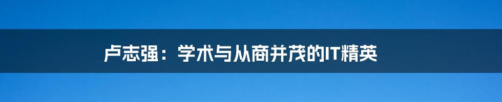 卢志强:学术与从商并茂的IT精英
