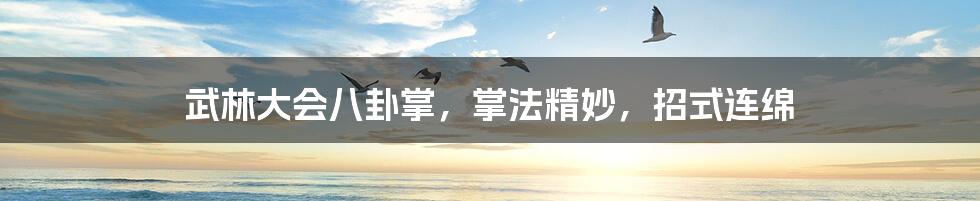 武林大会八卦掌,掌法精妙,招式连绵