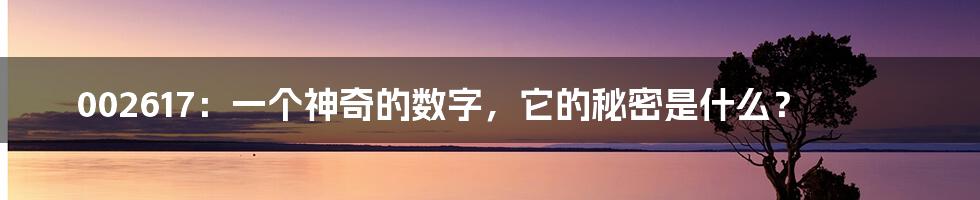 002617:一个神奇的数字,它的秘密是什么?