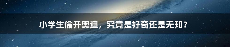 小学生偷开奥迪，究竟是好奇还是无知？