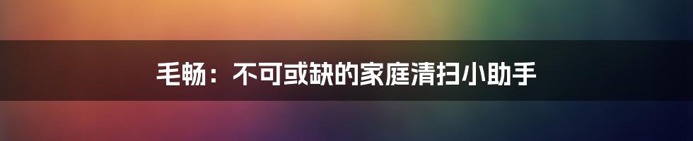 毛畅:不可或缺的家庭清扫小助手