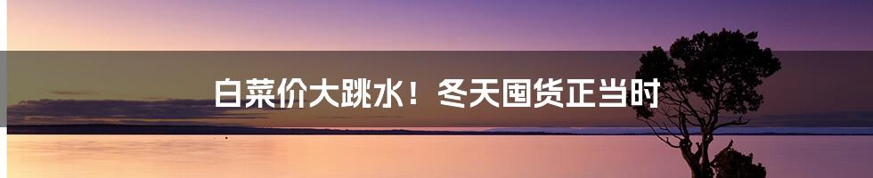 白菜价大跳水！冬天囤货正当时