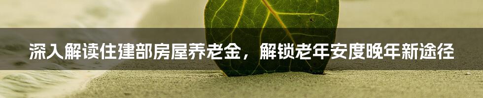 深入解读住建部房屋养老金,解锁老年安度晚年新途径