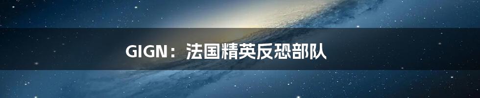 GIGN:法国精英反恐部队
