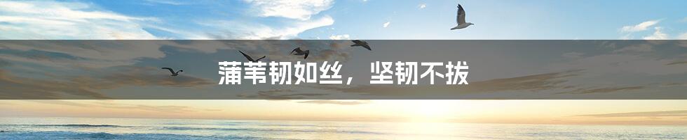 蒲苇韧如丝,坚韧不拔
