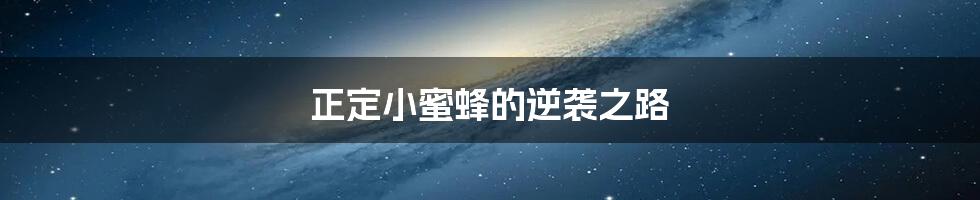 正定小蜜蜂的逆袭之路