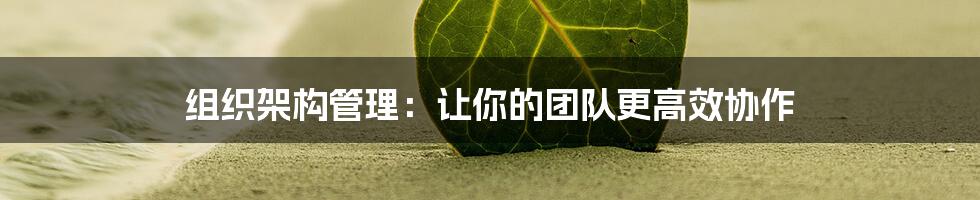 组织架构管理:让你的团队更高效协作