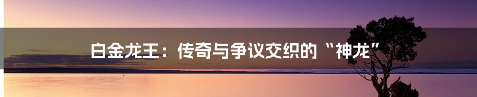 白金龙王:传奇与争议交织的“神龙”