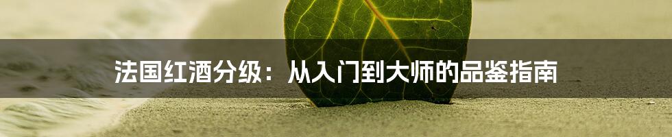 法国红酒分级:从入门到大师的品鉴指南