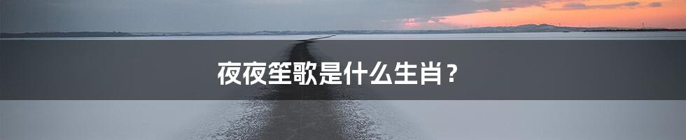 夜夜笙歌是什么生肖？