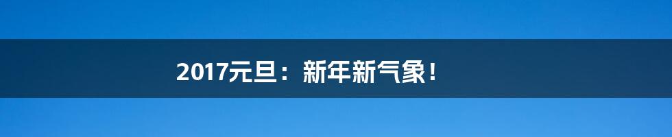 2017元旦:新年新气象!