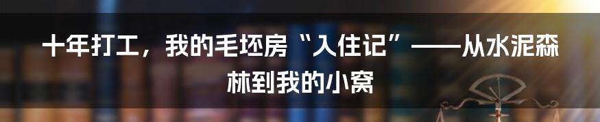 十年打工,我的毛坯房“入住记”——从水泥森林到我的小窝