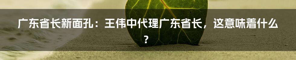 广东省长新面孔：王伟中代理广东省长，这意味着什么？