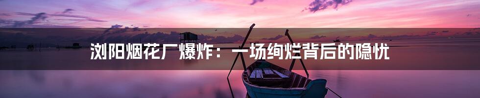 浏阳烟花厂爆炸:一场绚烂背后的隐忧