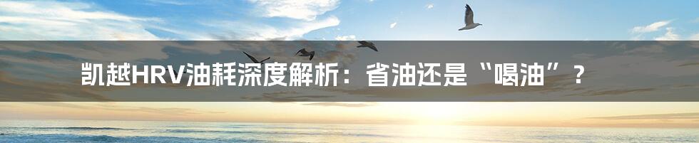 凯越HRV油耗深度解析:省油还是“喝油”?