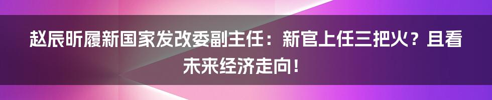 赵辰昕履新国家发改委副主任:新官上任三把火?且看未来经济走向!