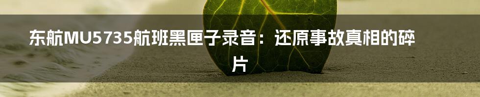 东航MU5735航班黑匣子录音：还原事故真相的碎片